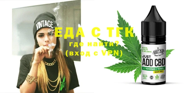 индика Новодвинск