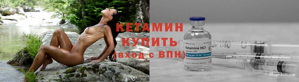 прущие грибы Новокубанск