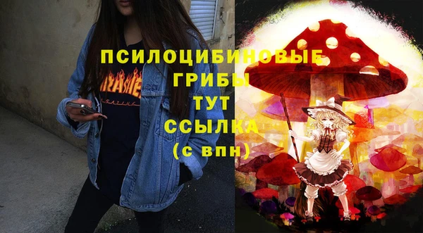 apvp Алексин