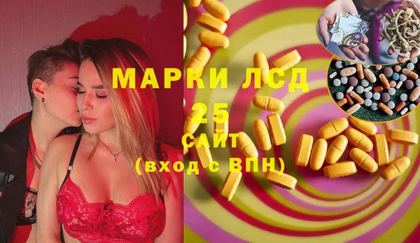 apvp Алексин