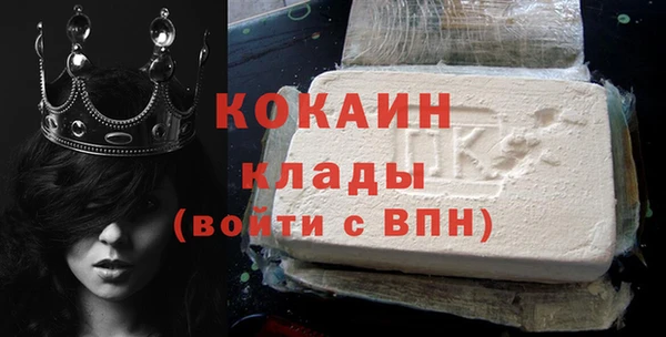 индика Новодвинск