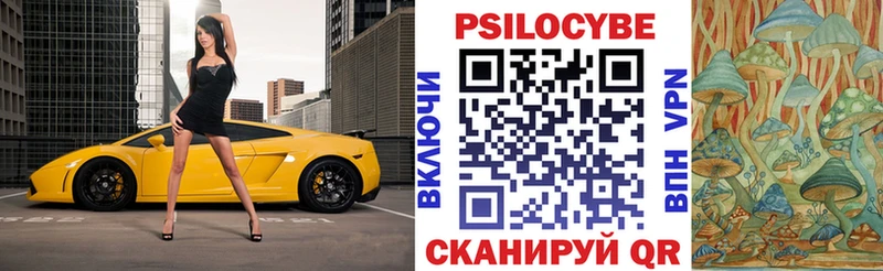 OMG tor  Белебей  Псилоцибиновые грибы мухоморы 